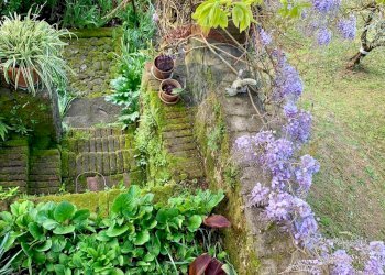 Giardino - Casa indipendente Barga - foto 27