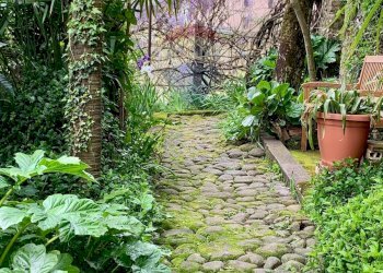 Giardino - Casa indipendente Barga - foto 28