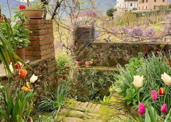 Giardino - Casa indipendente Barga - foto 29