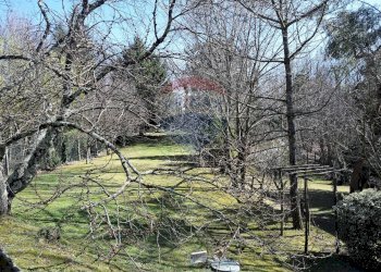 Giardino - Casa indipendente Molazzana - foto 4