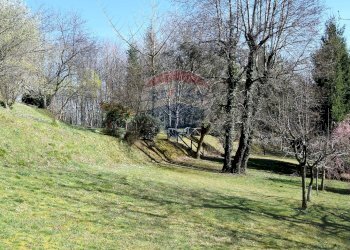 Giardino - Casa indipendente Molazzana - foto 6