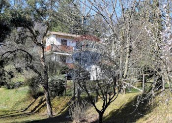 Casa all\'aperto - Casa indipendente Molazzana - foto 8