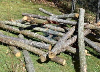 Giardino - Casa indipendente Molazzana - foto 9