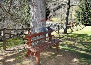 Giardino - Casa indipendente Molazzana - foto 10