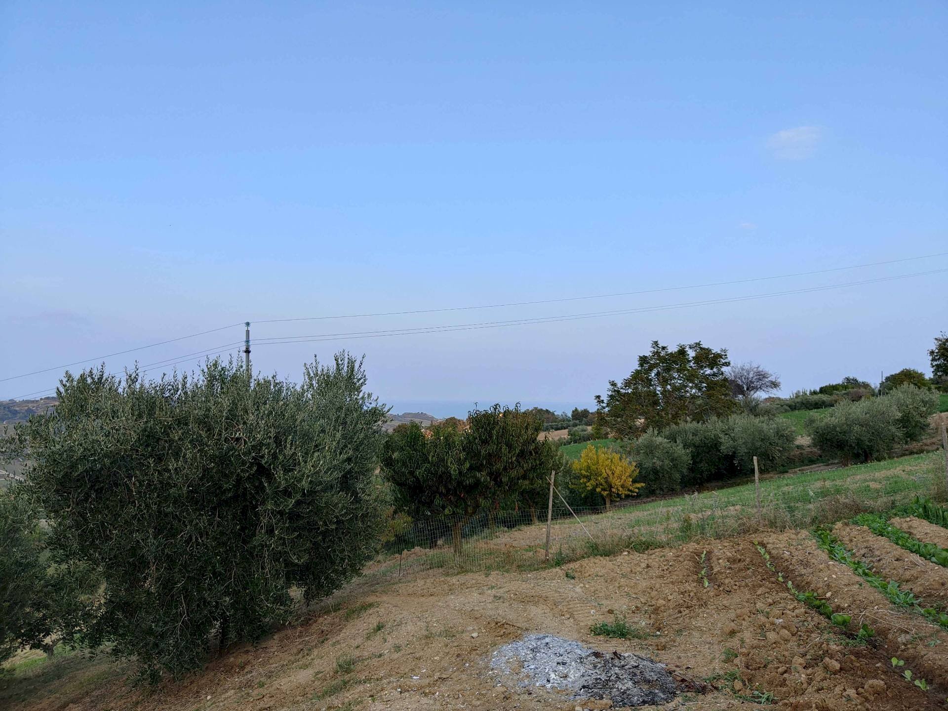 Foto 3 - Rustico Contrada Paterno, Acquaviva Picena - foto 3