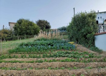 Foto 7 - Rustico Contrada Paterno, Acquaviva Picena - foto 7