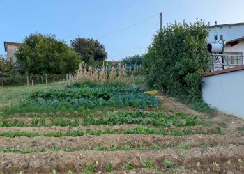 Foto 12 - Rustico Contrada Paterno, Acquaviva Picena - foto 12