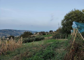 Foto 17 - Rustico Contrada Paterno, Acquaviva Picena - foto 17