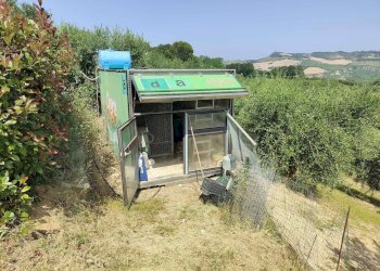 Foto 18 - Rustico Contrada Paterno, Acquaviva Picena - foto 18