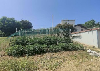 Foto 21 - Rustico Contrada Paterno, Acquaviva Picena - foto 21