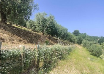 Foto 22 - Rustico Contrada Paterno, Acquaviva Picena - foto 22