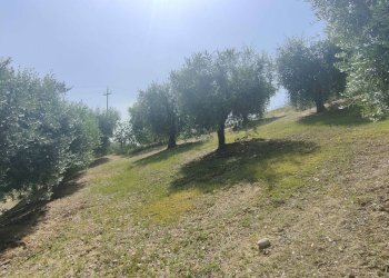 Foto 23 - Rustico Contrada Paterno, Acquaviva Picena - foto 23