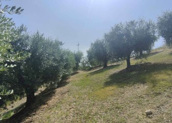 Foto 24 - Rustico Contrada Paterno, Acquaviva Picena - foto 24