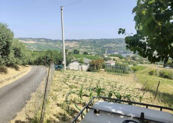 Foto 31 - Rustico Contrada Paterno, Acquaviva Picena - foto 31