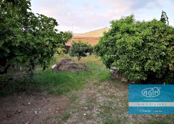 Foto 26 - Rustic Via Cappuccini
 
167, Palermo - photo 26