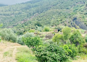 Foto 14 - Rustico SALINA LENI  ( ME), Leni - foto 14