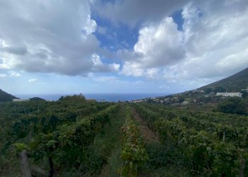 Foto 9 - Villa via Caserta
 
snc, Leni - foto 9