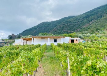 Foto 35 - Villa via Caserta
 
snc, Leni - foto 35