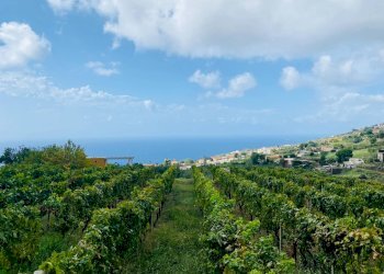 Foto 36 - Villa via Caserta
 
snc, Leni - foto 36