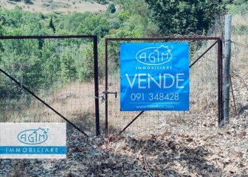 Foto 2 - Terreno agricolo Petralia Sottana - foto 2