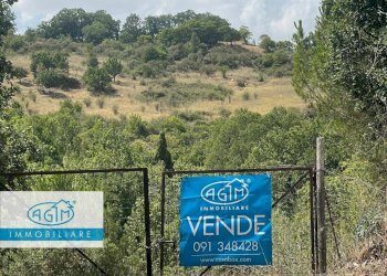 Foto 3 - Terreno agricolo Petralia Sottana - foto 3