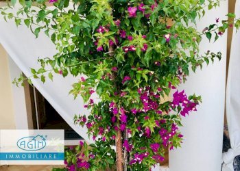 Foto 7 - Casa indipendente Via Umberto I, Santa Marina Salina - foto 7