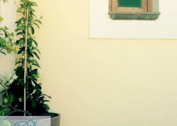 Foto 21 - Casa indipendente Via Umberto I, Santa Marina Salina - foto 21