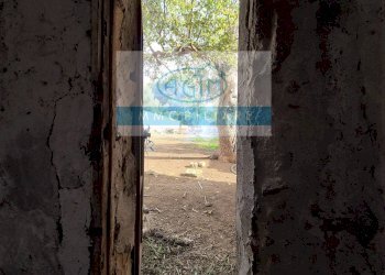 Foto 20 - Rustic Via Omero
 
46, Palermo - photo 20