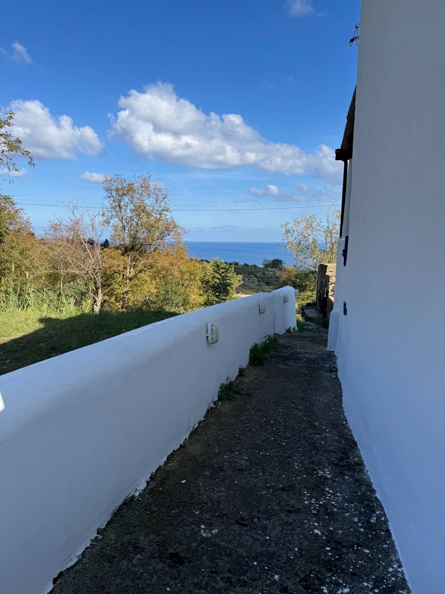 Foto 2 - Terreno agricolo strada provinciale 182, Malfa - foto 2