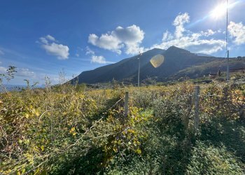 Foto 5 - Terreno agricolo strada provinciale 182, Malfa - foto 5