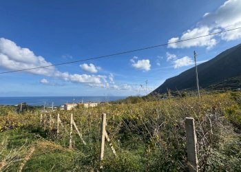 Foto 6 - Terreno agricolo strada provinciale 182, Malfa - foto 6