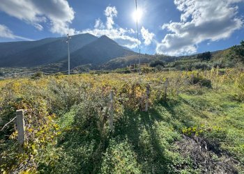 Foto 7 - Terreno agricolo strada provinciale 182, Malfa - foto 7