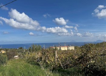 Foto 8 - Terreno agricolo strada provinciale 182, Malfa - foto 8