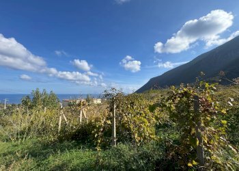 Foto 10 - Terreno agricolo strada provinciale 182, Malfa - foto 10