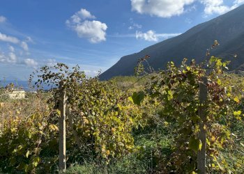 Foto 11 - Terreno agricolo strada provinciale 182, Malfa - foto 11