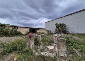 Foto 19 - Capannone Piazza Sant'orsola
 
1, Palermo - foto 19