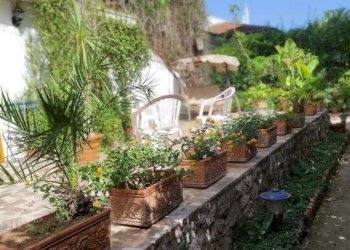 Foto 3 - Villa a Schiera Viale Margherita Di Savoia
 
79, Palermo - foto 3