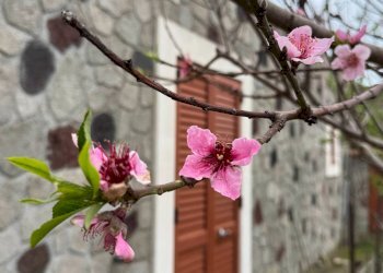 Foto 19 - Villa via San Salvatore
 
snc, Lipari - foto 19