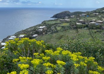 Foto 37 - Villa via Le Cale
 
snc, Pantelleria - foto 37