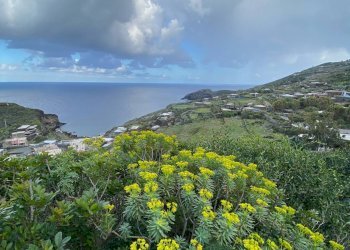Foto 55 - Villa via Le Cale
 
snc, Pantelleria - foto 55