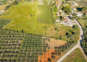 Foto 7 - Terreno edificabile Contrada Marinella Trenta Salme
snc, Castelvetrano - foto 7