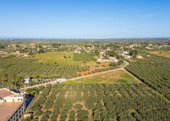 Foto 8 - Terreno edificabile Contrada Marinella Trenta Salme
snc, Castelvetrano - foto 8