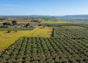 Foto 10 - Terreno edificabile Contrada Marinella Trenta Salme
snc, Castelvetrano - foto 10