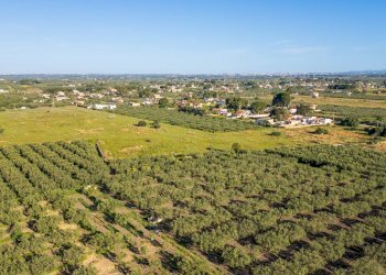 Foto 11 - Terreno edificabile Contrada Marinella Trenta Salme
snc, Castelvetrano - foto 11