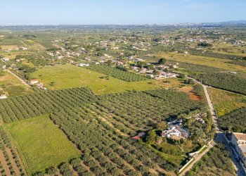 Foto 12 - Terreno edificabile Contrada Marinella Trenta Salme
snc, Castelvetrano - foto 12