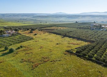 Foto 13 - Terreno edificabile Contrada Marinella Trenta Salme
snc, Castelvetrano - foto 13