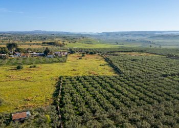Foto 16 - Terreno edificabile Contrada Marinella Trenta Salme
snc, Castelvetrano - foto 16