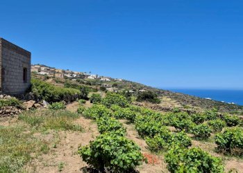 Foto 4 - Villa via Marina
 
snc, Pantelleria - foto 4