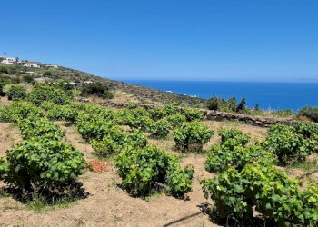 Foto 5 - Villa via Marina
 
snc, Pantelleria - foto 5