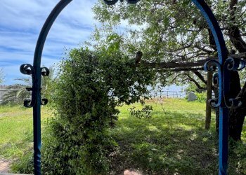 Foto 56 - Casa indipendente Strada Provinciale 182
 
snc, Santa Marina Salina - foto 50